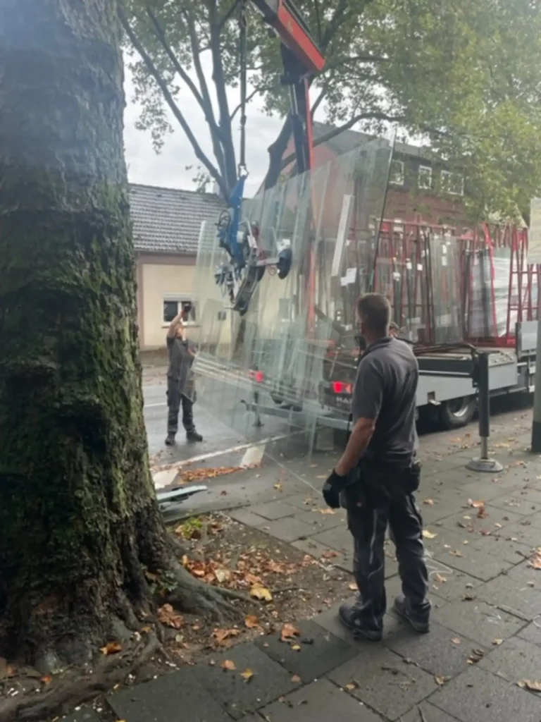 Glaserei Glas Golombiewski - Schaufensterscheibe schwieriger transport an Baum und Hindernissen vorbei