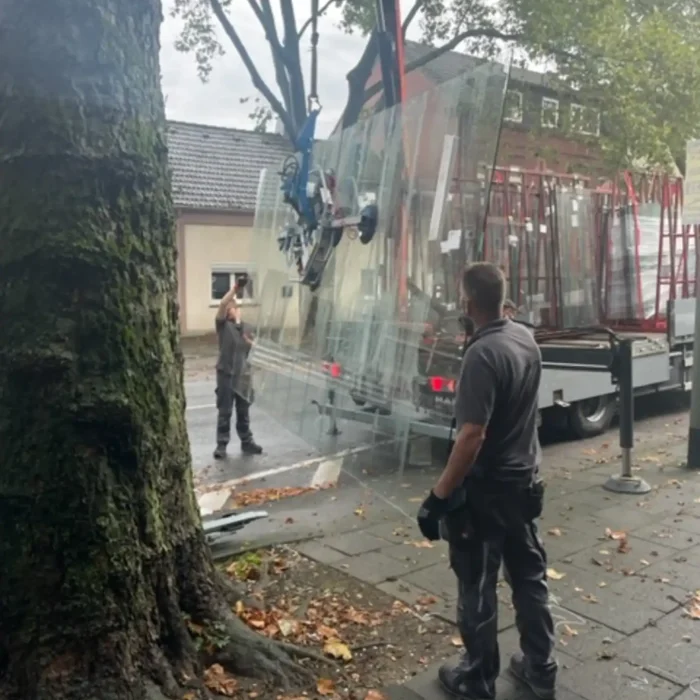 Glaserei Glas Golombiewski - Schaufensterscheibe schwieriger transport an Baum und Hindernissen vorbei